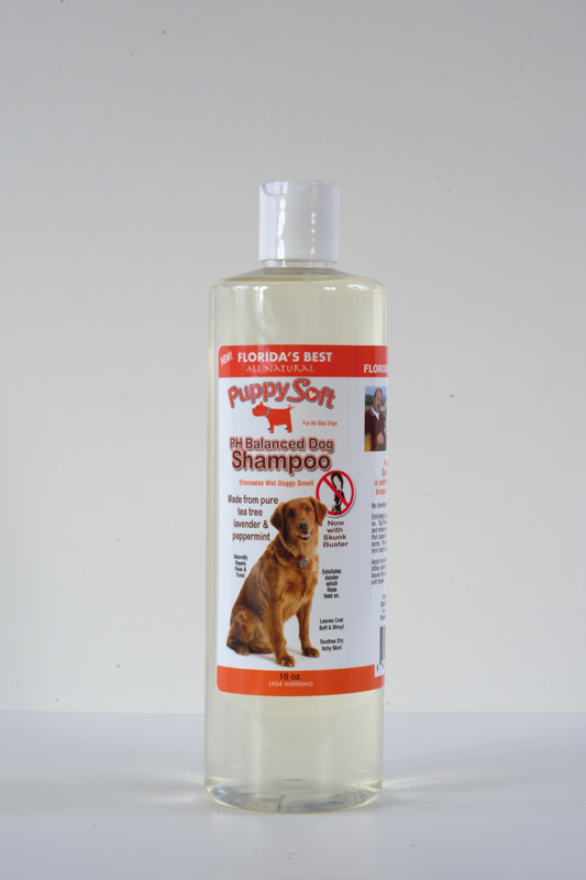 best shampoo for shichon puppy